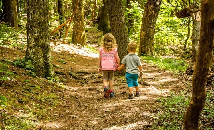 kids hiking in the nature